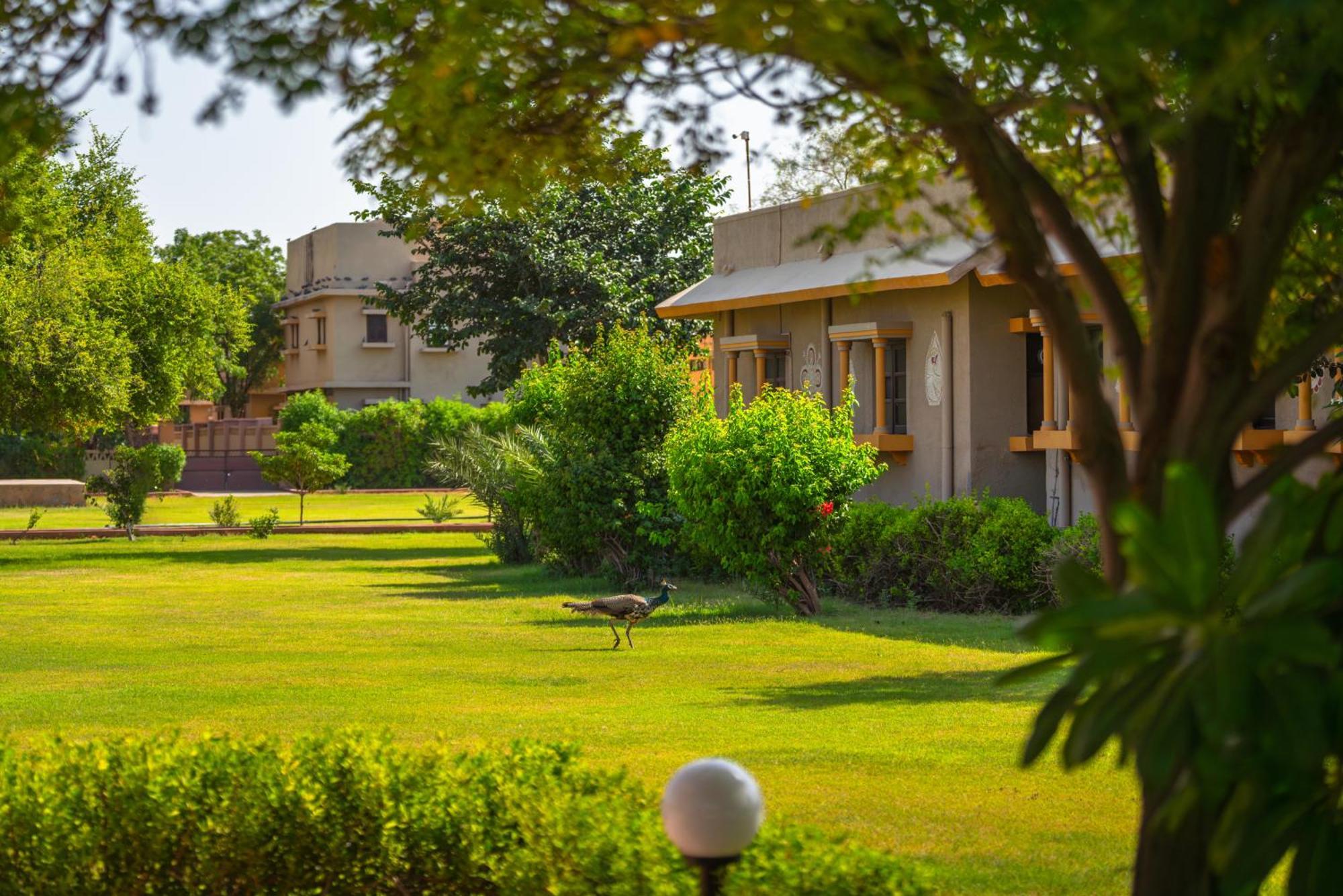 Dechu Thar Oasis Resort And Camp מראה חיצוני תמונה